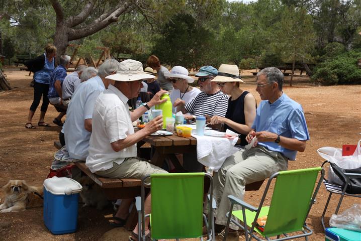 Picture of parishioners enjoying a BBQ picnic in Pikni woods